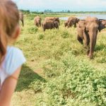 8 best activities for a sri lanka family holiday with teenagers header 150x150 1