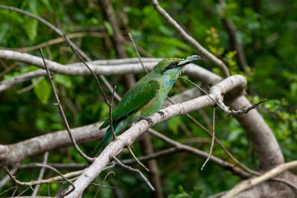 Bundala National Park copy 1024x683 1