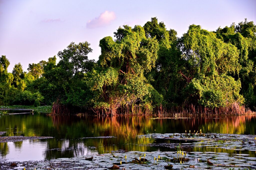 Kalametiya Bird Sanctuary Reflections 1024x683 1