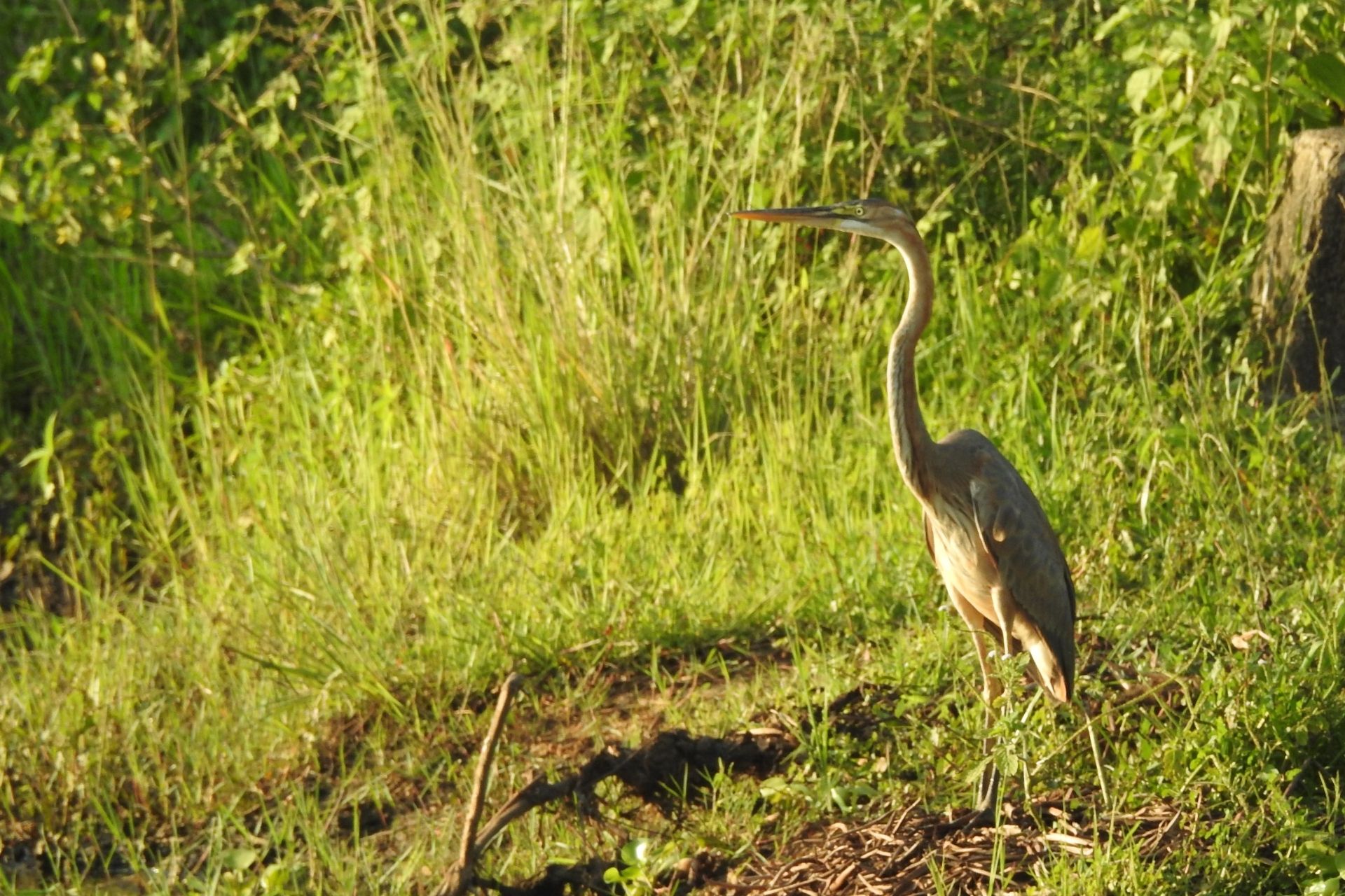 Wasgamuwa National Park sri lanka locations.lk